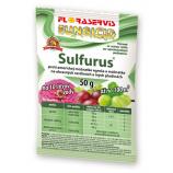 Sulfurus