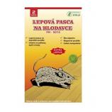 Ekolas lepová past na dřevěném podkladu