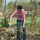 FISKARS MAČETA WoodXpert XA3 126004