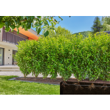 Gardena Micro-Drip – zavlažování živých plotů/keřů – sada (50 m)