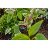 Gardena MDS Řadový kapkovač 2 l/h