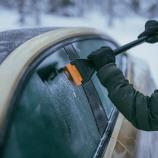 Fiskars Smětačka se škrabkou Solid 1078496