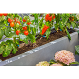 Gardena Startovací sada Micro-Drip-System pro terasy / 30 rostlin