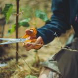 Fiskars Univerzální nůžky, 21 cm 1075031