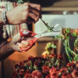 Fiskars Univerzální nůžky pro leváky, 21 cm 1075035