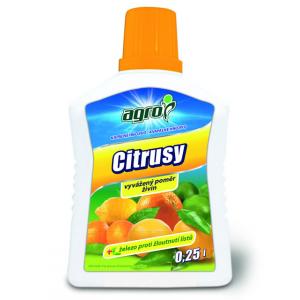 Agro citrusy