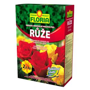 Floria růže