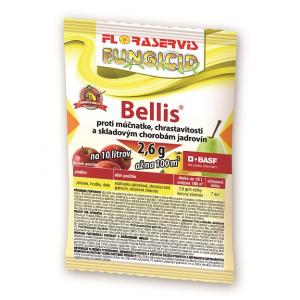 Bellis