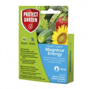 Magnicur energy
