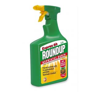 Roundup expres 6h