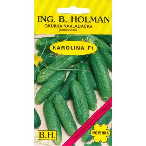 Okurka nakládačka Holman Karolína hu F1