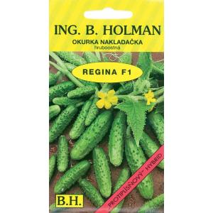 Okurka nakládačka Holman Regina F1 hr