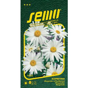 Semo Kopretina bílá Shasta Daisy 0,8g