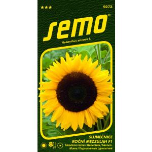 Semo Slunečnice roční Mezzulah F1 8s