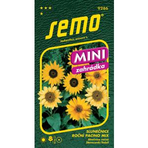 Semo Slunečnice roční Pacino mix Dwarf mix 15s