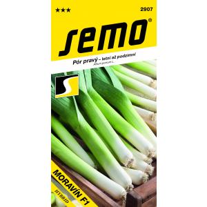 Semo Pór letní Moravín F1 2g