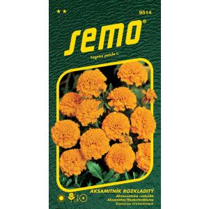 Semo Aksamitník rozkladitý Petit oranžový 1g