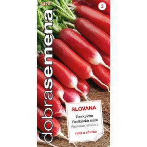 Dobrá semena Ředkvička červenobílá Slovana rychl raná 4g