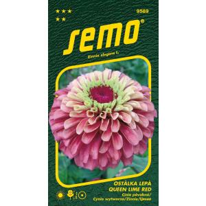 Semo Ostálka lepá Queen Lime Red 15s