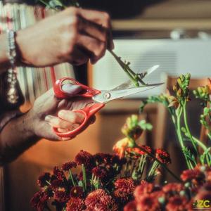 Fiskars Univerzální nůžky pro leváky, 21 cm 1075035