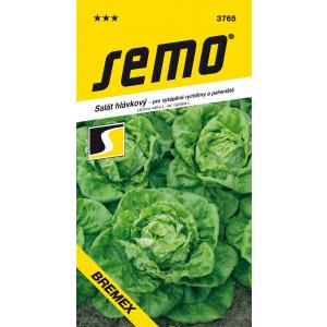 Semo Salát celoroční Bremex Profi 0,4g