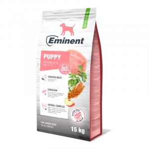 Eminent puppy
