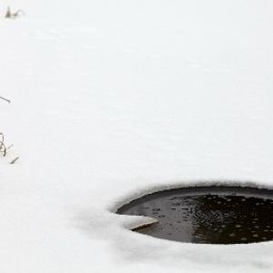 Zazimování zahradního jezírka a rybníka krok za krokem