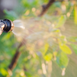 Co jsou pesticidy a jak se dělí?