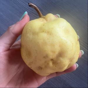 Kamenitost hrušek