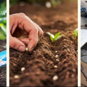 Praktický e-book: 5 jarních tipů na snadný start sezóny + bonus