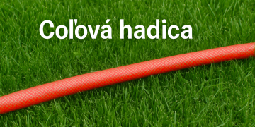 Colova hadica